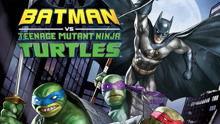 蝙蝠侠大战忍者神龟,蝙蝠侠与忍者神龟的终极对决