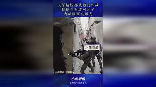 敌对分子,捍卫国家安全的斗争历程